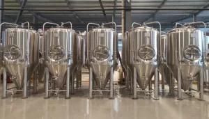 Tiantai 100L 300L 500L 1000L 2000L 3000L 5000L Stainless Steel 304 Conical Beer Fermenter ...