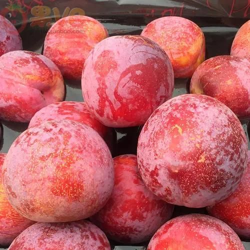 Industrial Fruits Vegetables Cooling Air Dewatering Machine