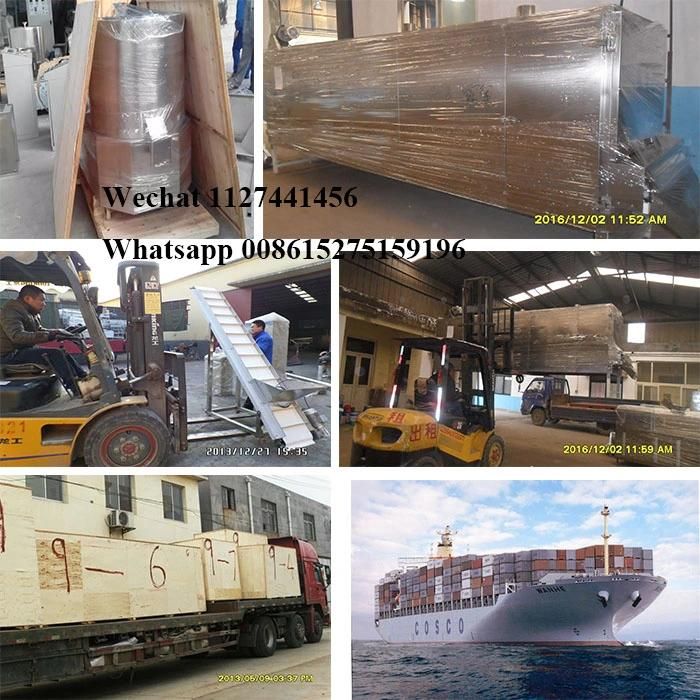 Automatic Wheat Fry China Bread Crumb Food Making Extruder Processing Line