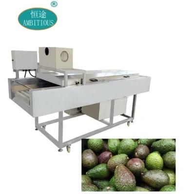 Commercial Fruit and Vegetable Washer Cleaning Avocado Washing Machine