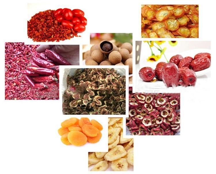 Industrial Automatic Dehydrating Machine for Garlic Carrot Leafy Vegetable Processing