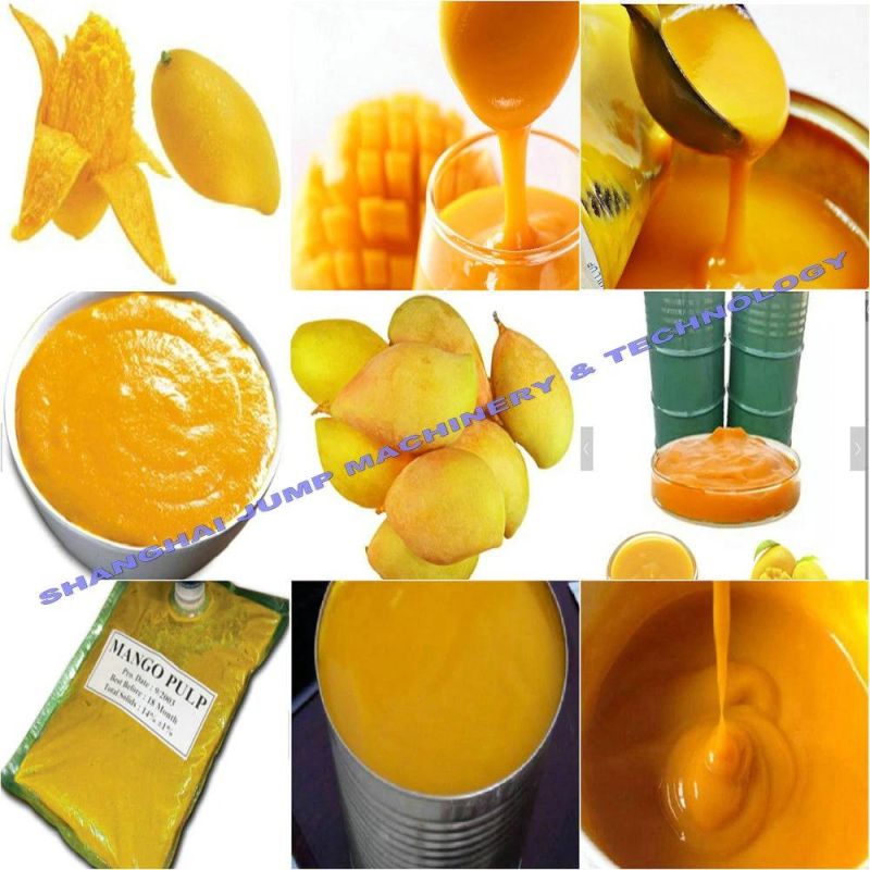 Mango Pulp Sterilizer and Aseptic Filler