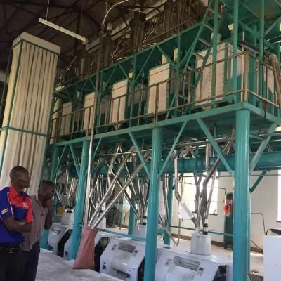 China Maize Meal Hammer Mill Corn Grits Grinder Wheat Flour Semolina Milling Machine Plant ...