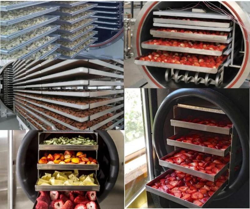 Vacuum Freeze Dryer Fruit Freeze Dryer Machine