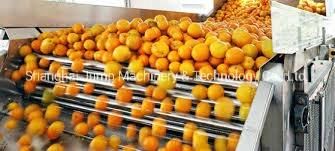Commercial Orange Juice, Orange Oil Essential, Orange Peel Composite Processing Line ...