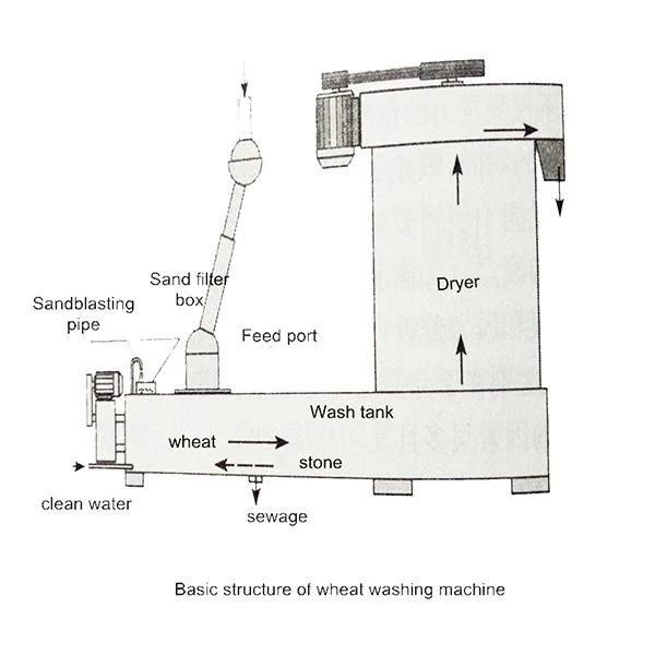 Flour Milling Processing Equipment Water Cleaning Machine Wheat Washing Machine