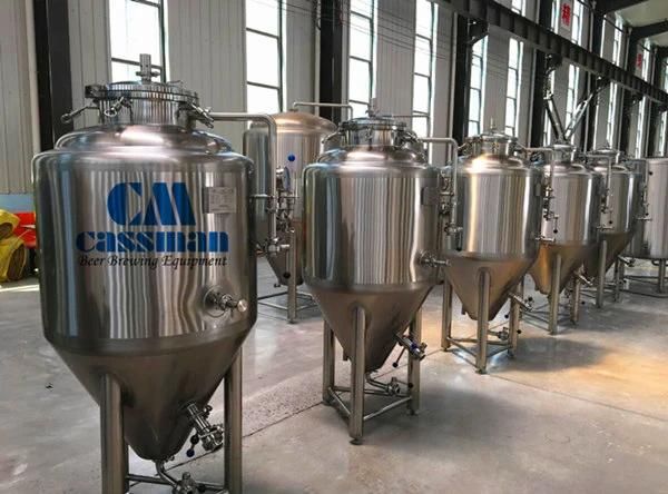 Cassman 300L Beer Brewery Kettle Mini Beer Brewing Equipment for Sale