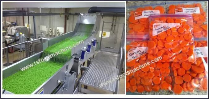 Vegetable Processing Machine and Fruit and Vegetable Blanching Machine