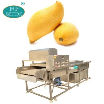 Machine Wash Fruit Cleaning Machines Mango Washing Cleaning Machinery