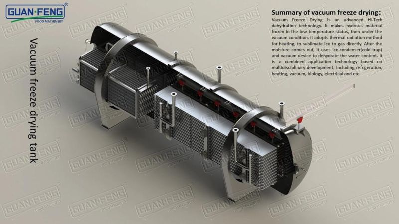 Industrial Broccoli Freeze Dryer Lyophilization Machine for Instant Food