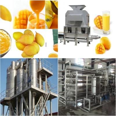 Mango Puree Processing Line / Mango Pulp Processing Machinery / Mango Juice Filling ...