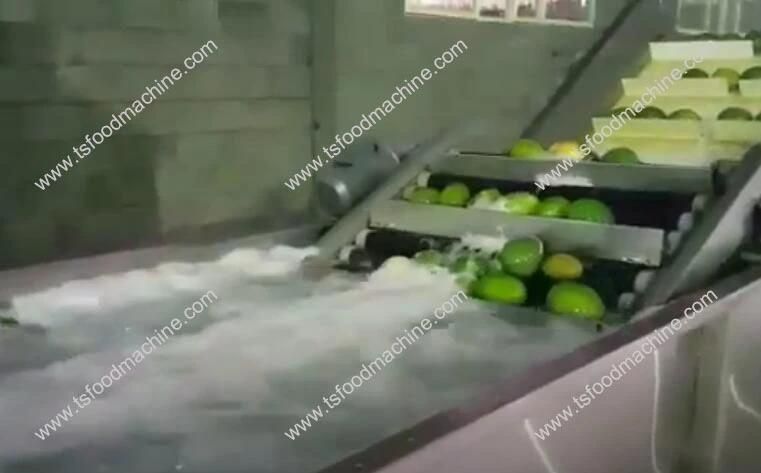 Automatic Fruit Vegetable Washer Machines Apple Washing Machine