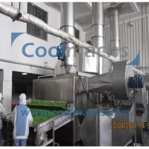 Green Pepper Processing Machine Drying Pepper Dehydrator, Pepper Drying Machine