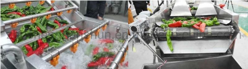 Pepper Washing and Drying Line Vegetable Processing Line