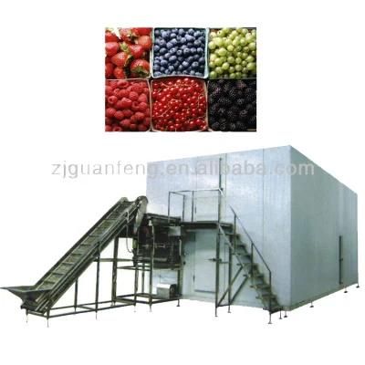 Industrial Fruits Freezer Fluidized IQF Freezer for Mango