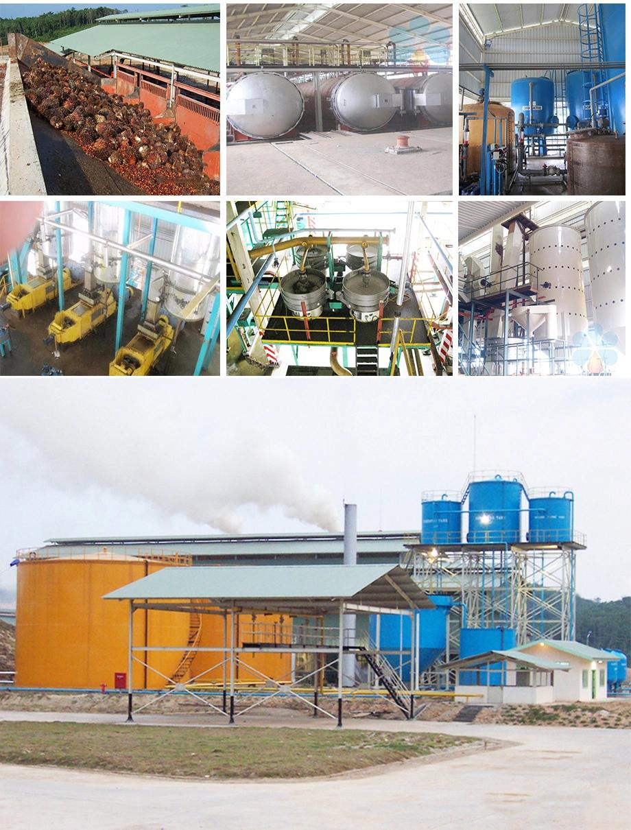 Crude Palm Oil Press Machine/Oil Making Machime