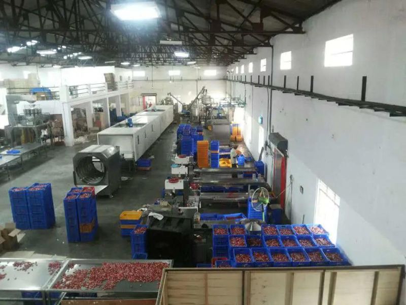 Gd150q/300q-S Automatic Gummy/Jelly Candyservo Driven Depositing Linethe Processing Line