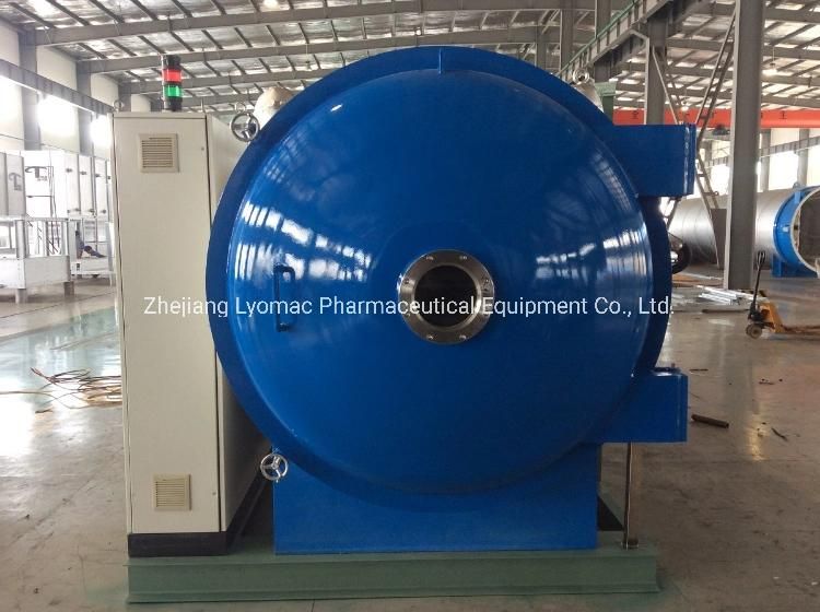 China Ce & ISO Certified Lyophilizer Vacuum Freeze Dryer
