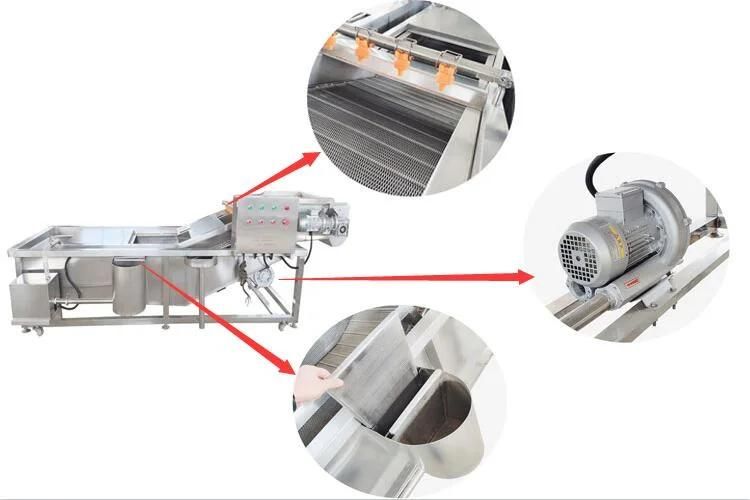 Carrot Chilli Pepper Ginger Okra Washing Machine Bubble Belt Washer