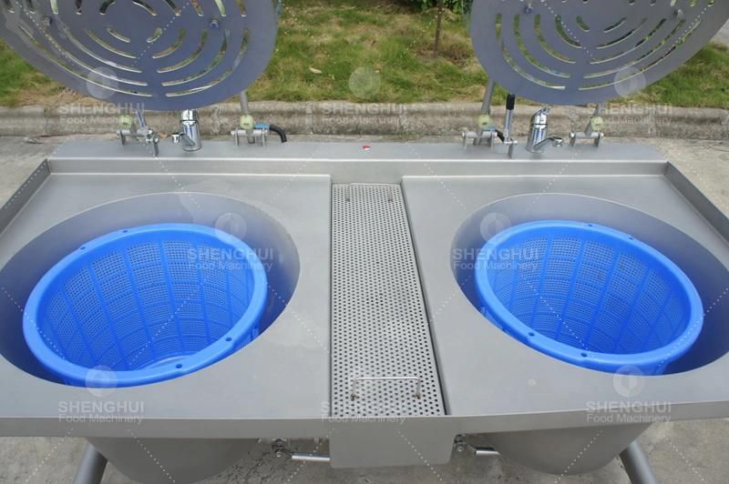 Factory Supply Air Bubble Fruit Washing Machine Ozone Vegetable Washer