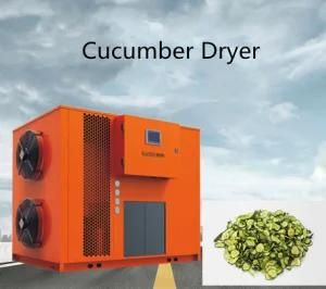 Large Capacity Industry Used Vegetable Machine Food Cutting Cucumber Dryer
