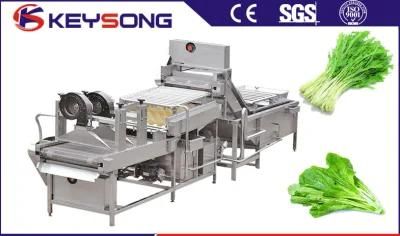 High Capacity Fruit and Vegetable Washer Vegetable Washing Machine/Bubble Washer