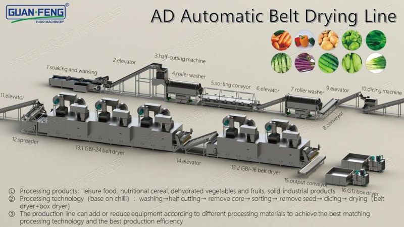 1000-1200kg/H Belt Dyring Equipment for Carrot