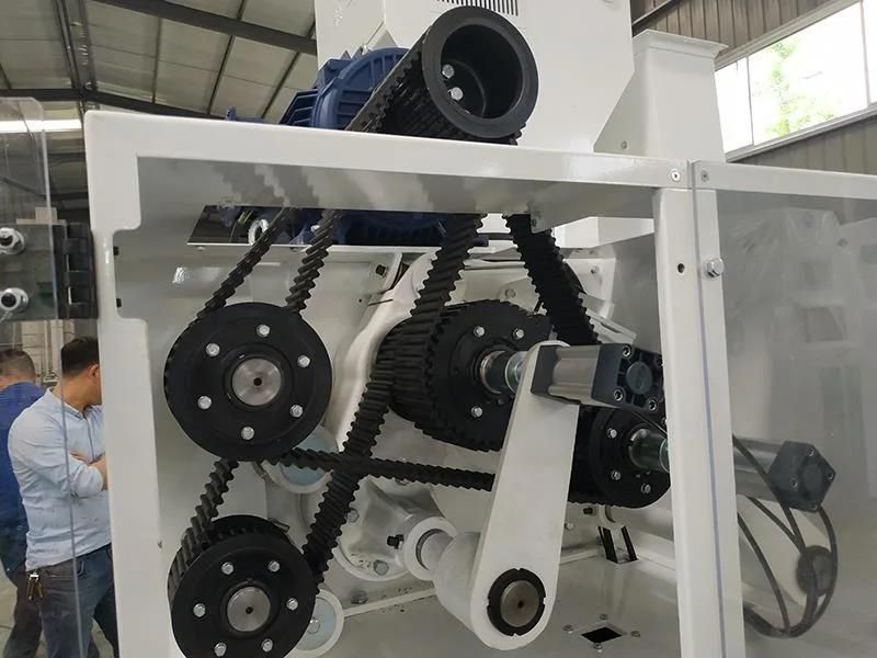 Mlgq-D/S Rice Dehuller Dehusker Machine Rice Milling Processing Machine Capacity Electric Exporters