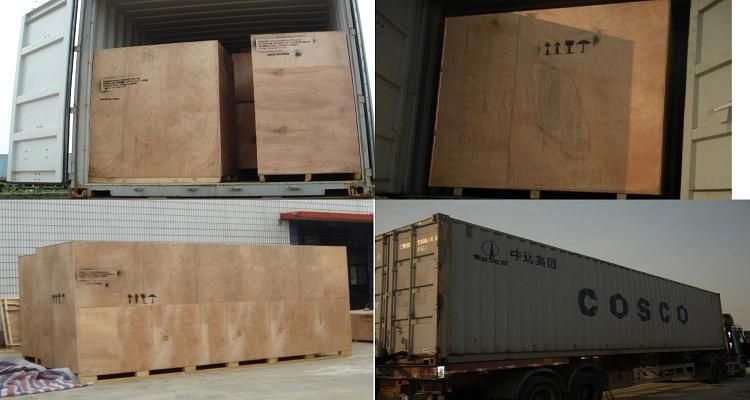 Compelete Industrial Biscuit/Cookie Making Machine From China