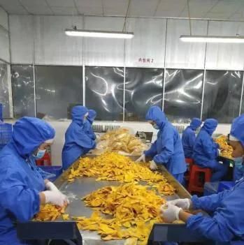 Dehydrated Mango Slice Production Line Bio Mango Slice Drying Machine Clear Energy Heating Pump