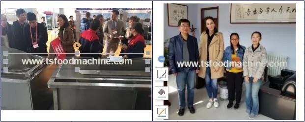 Carrot Washing Machine Potato Cleaning Machine Ginger Washing and Ginger Peeler Machine