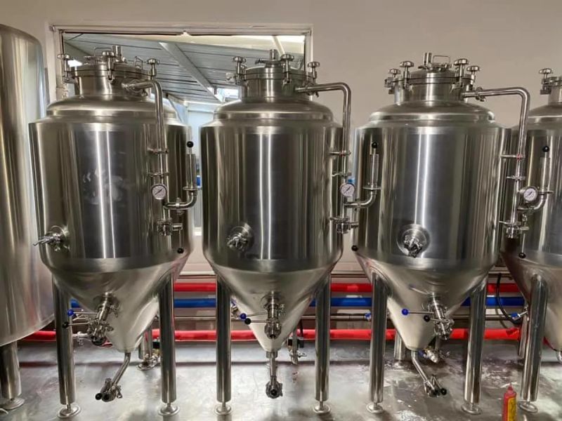 200L Small SUS304 Beer Fermenter Brewing Equipment for Brewpub Beer Bar