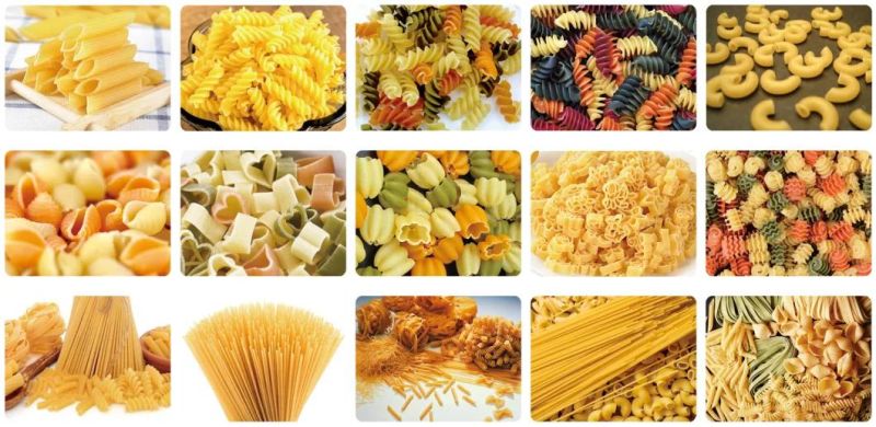 Industrial Automatic Spaghetti Line Macaroni Pasta Making Machine Pasta Machine Macaroni Spaghetti Noodle Making Machine Manufacturer