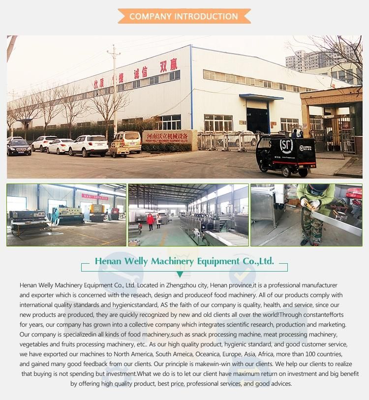 Easy Operating Automatic Saline Water Injector Machine Beef Brine Injection Machine