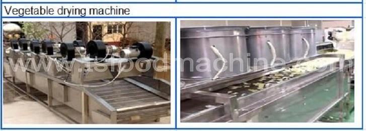 Green Bean Washing Cutting Drying Processing Machine