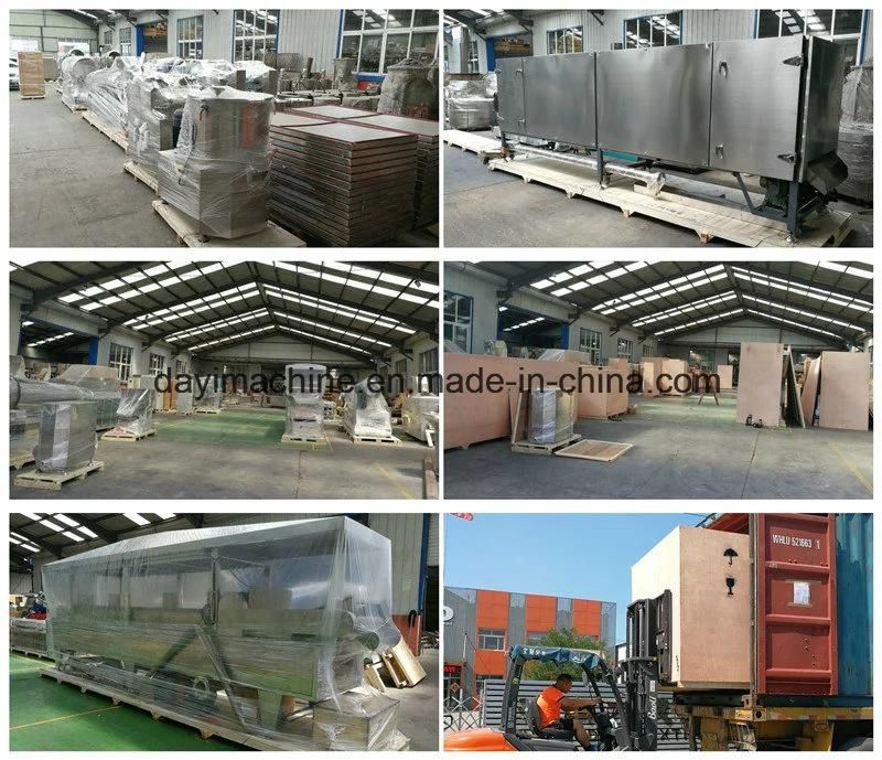 Twin Screw Extrusion Corn Flakes Making Machine Line