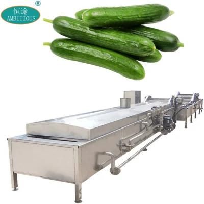 Continous Steam Blancher Cucumber Blanching Machine