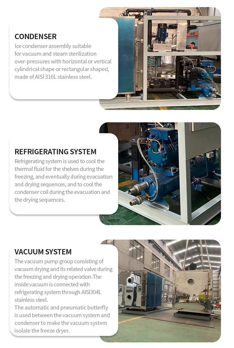 Fruit Drying Equipment Vacuum Freeze Dryer for Pharmaceutical with Silicon Oil Heating