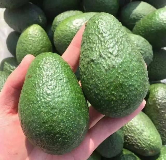 Fruits Food Cleaning Brush Washing Machine Continuous Avocado Washer