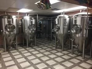 Hotel Brewery Equipment or Small Beer Equipment