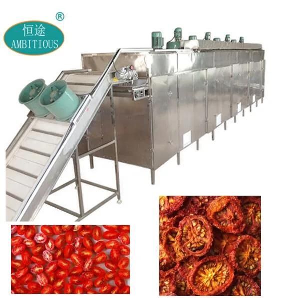 500kg Vegetable and Fruit Dryer Tomato Drying Machine