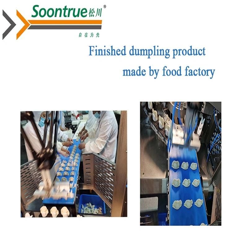 Chinese Dumpling Making Machine Zk-3-Sj