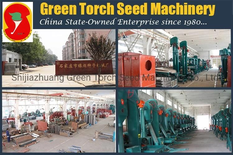 Combined Corn Wheat Bean Seed Grain Seed Processing Machine