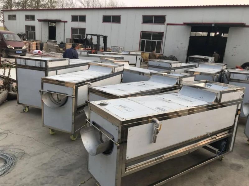 China Supplier Red Dates Dry Cleaning Machine and Fruit Washing Machine