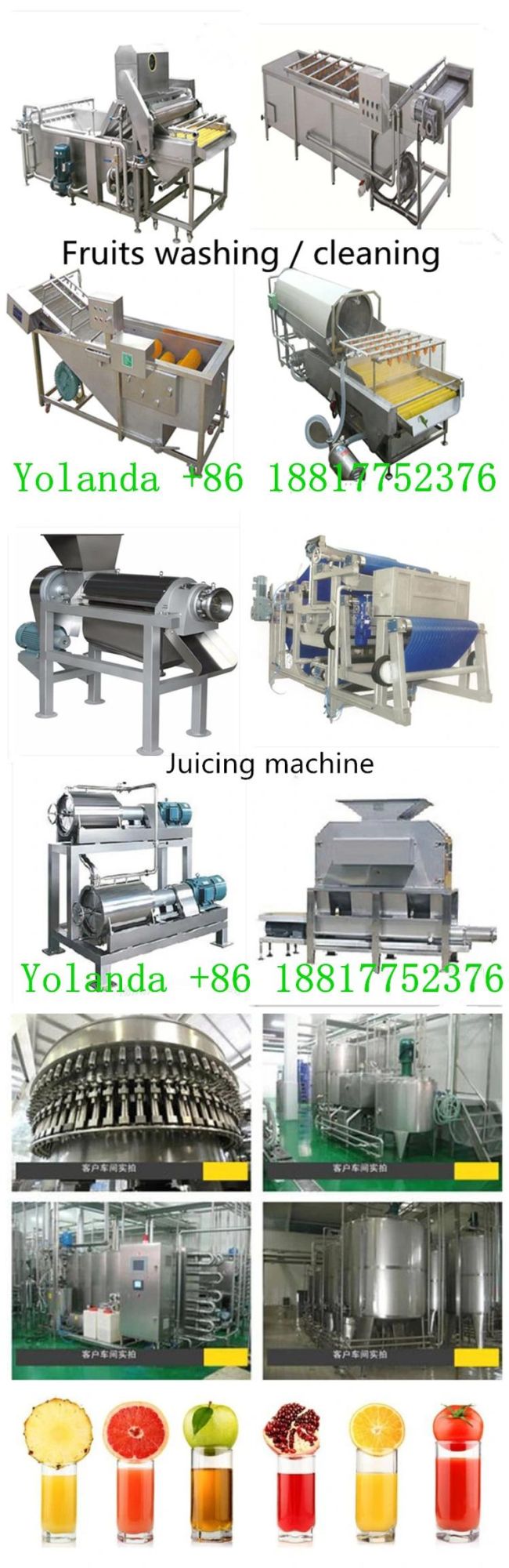 Complete Automatic Prickly Pear Jam Production Line