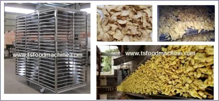 Commerical Vegetable Dryer Machine and Drying Machine for Ginger and Vegetable
