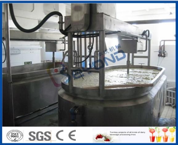 White Cheese Processing Line (500L-2000L/D)