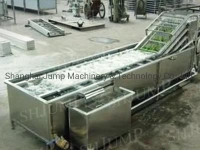 Minimally Processed Vegetables Factory Machines Vegetable Sanitizing, Washing, Peeling, ...