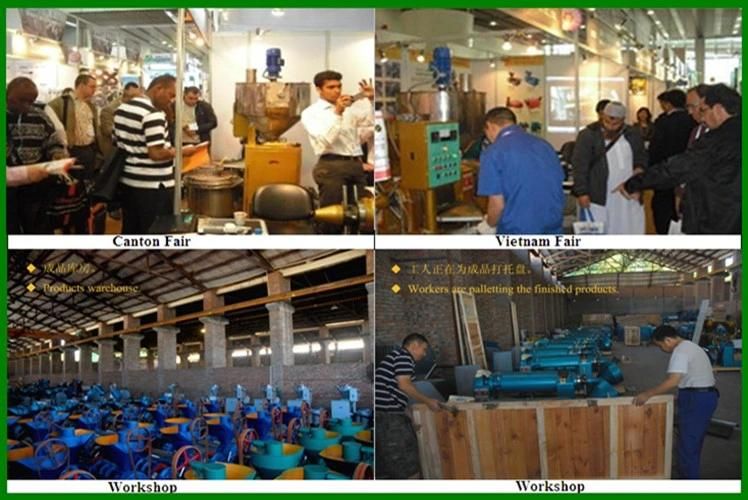 Groundnut Oil Processing Machine From Guangxin Brand