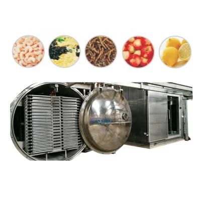 200m2 Vacuum Freeze Dryer Lyophilizer for Mangosteen Rind Powder Processing